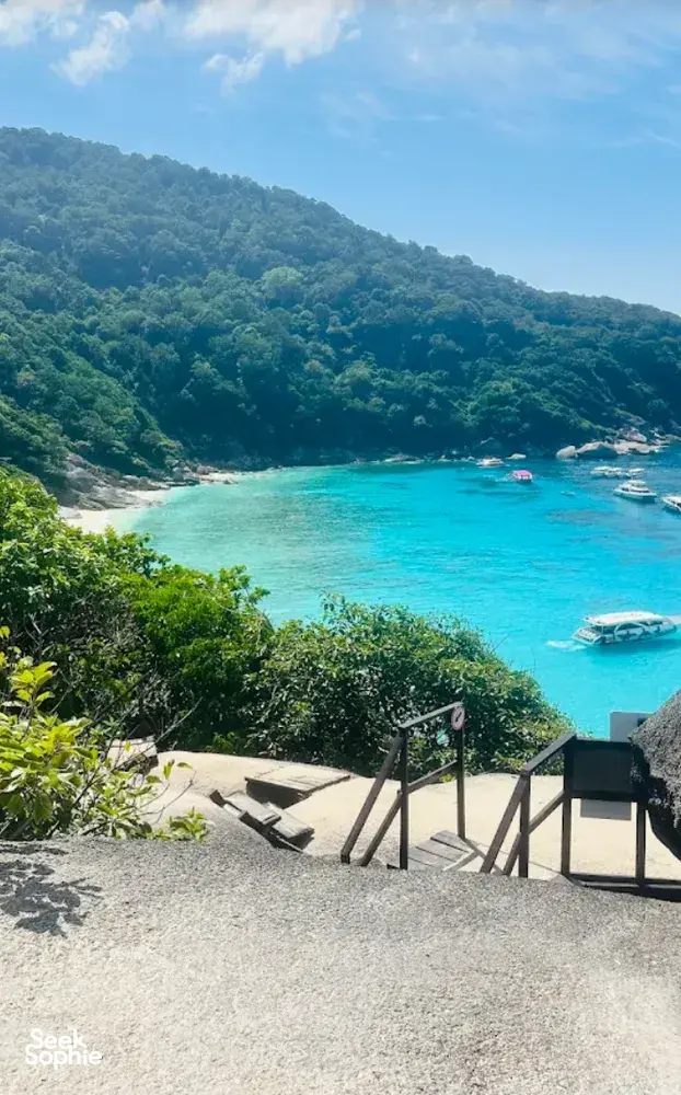 Seek Sophie option picture