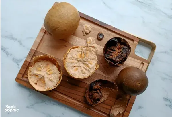 Wooden tray of TCM mocktail ingredients: dried mushrooms, roots and citrus slices during workshops in Singapore