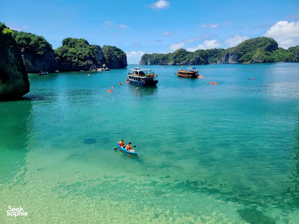 Seek Sophie option picture