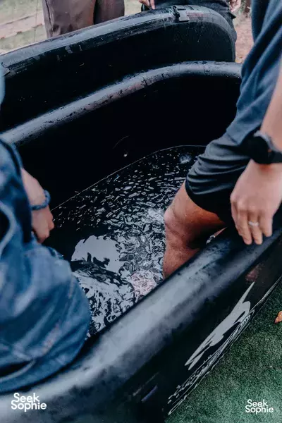 Nature and Food-Based Festival | Unique Festival Experience for Corporate Events