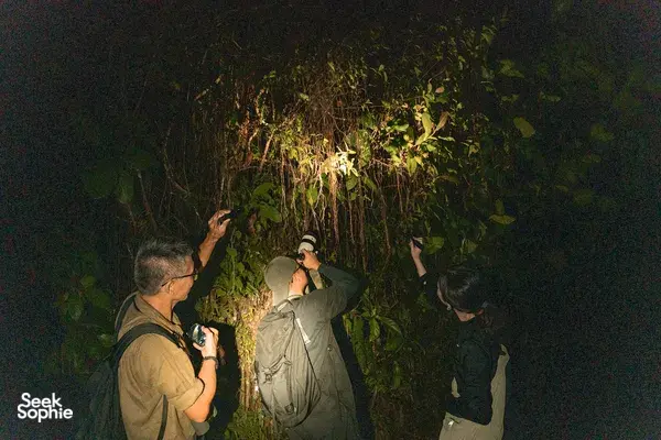 [SOLD OUT] In Search of Singapore's Last Wildcat