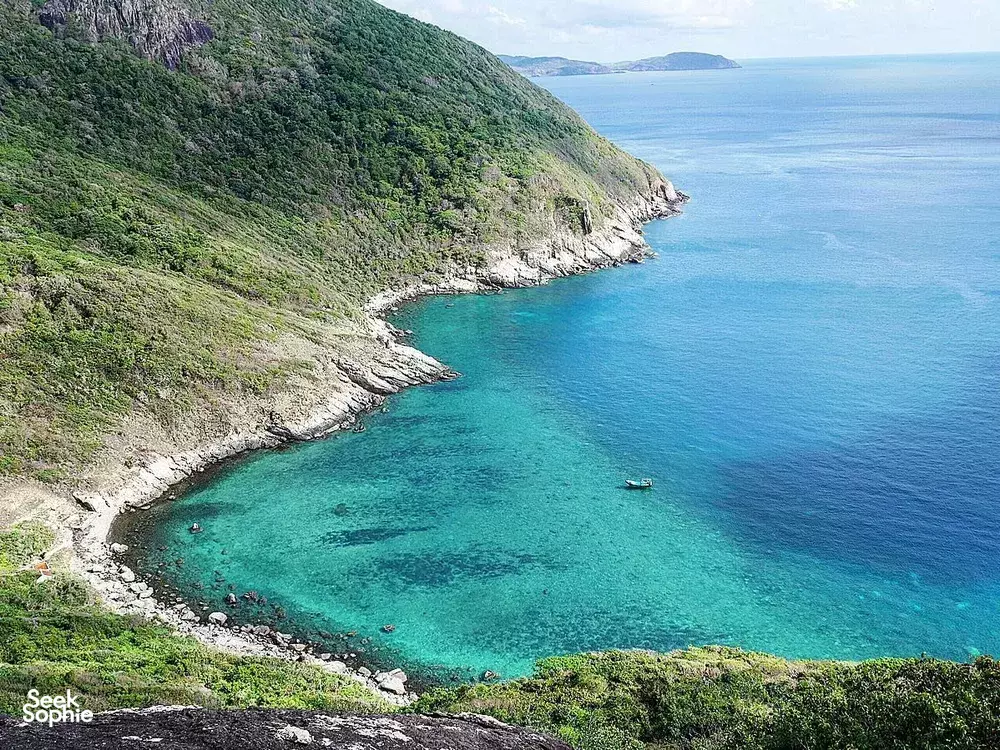 Seek Sophie option picture