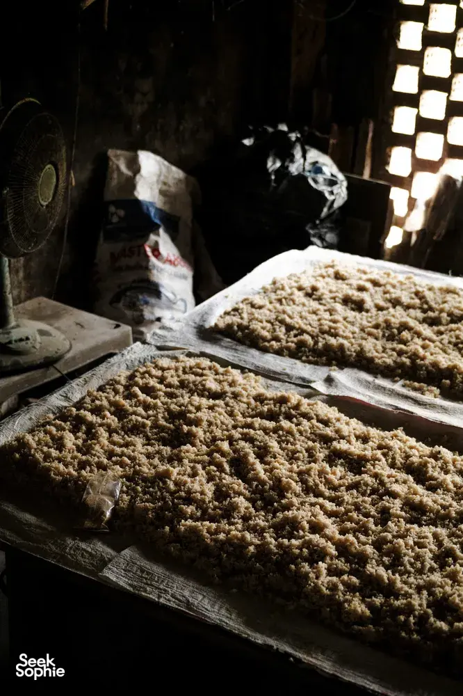 Trays of pale grains drying under skylight in a dim Hoi An artisan workshop during the early-before-it-wakes visit