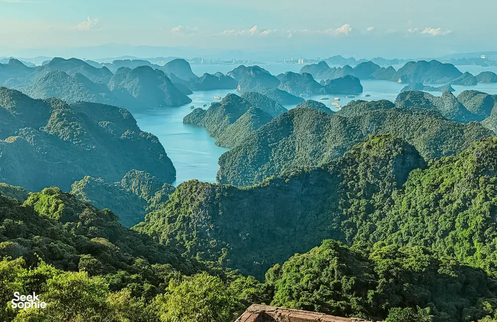 Seek Sophie option picture