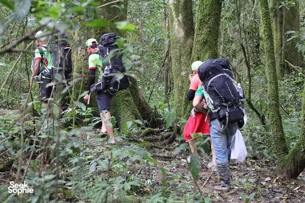 Trek Da Lat's Highest Peak | Langbiang Mountain Adventure