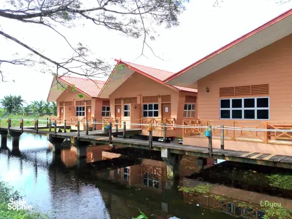 2D1N Kinabatangan River Safari at Jungle Lodge | Away from Crowds