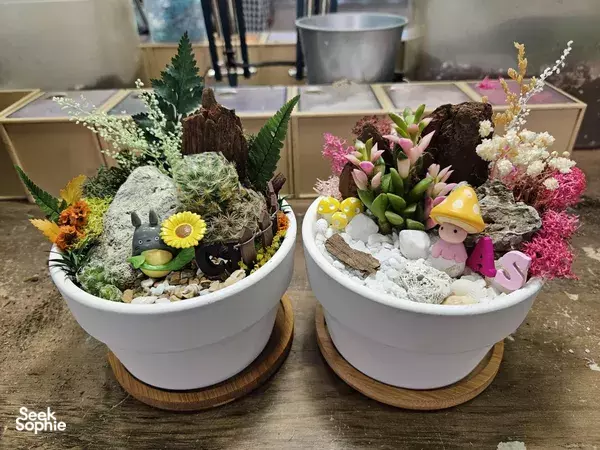 Create a Terrarium with Free-flow Materials!
