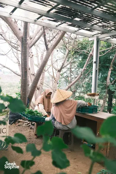 Lombok Farm Discovery | Learn about Permaculture & it's Impact