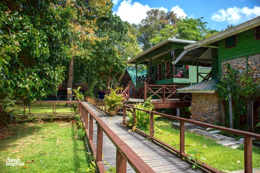 Seek Sophie option picture