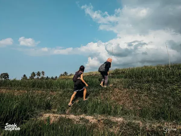 2D1N Pergasingan Hill Trek and Camping | Only Women-Led Business in Rinjani