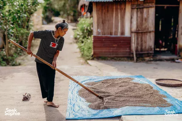 Hidden Trails to My Son & Villages | 1 Day Motorbiking Adventure
