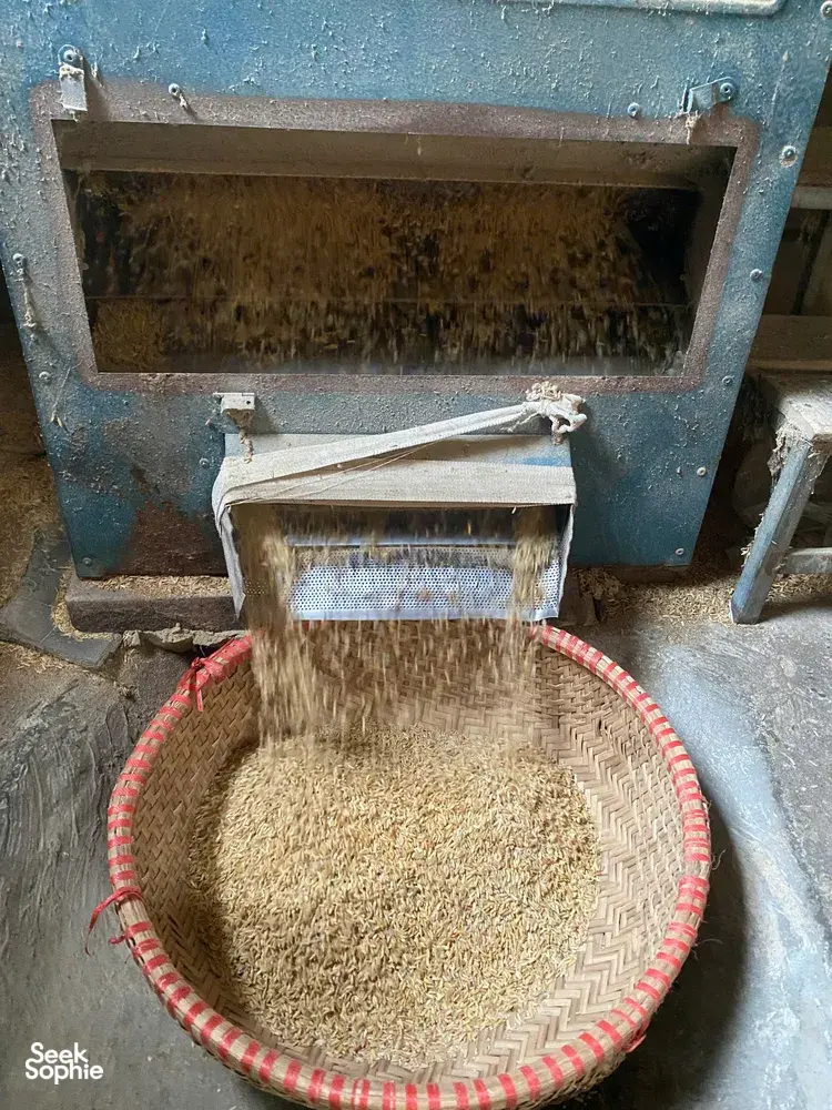 Woven bamboo basket of grains beside a blue sifting machine in a Hanoi Red River village