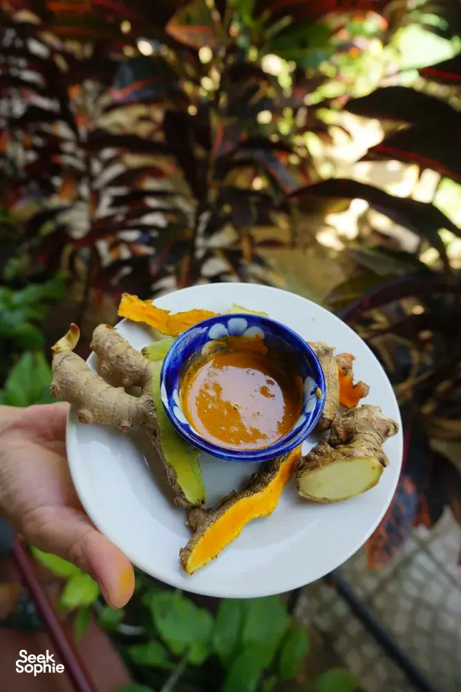 Seek Sophie option picture