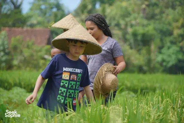 Ubud's Hidden Gem: Sustainable Farming + Cooking in Bali Rural Life