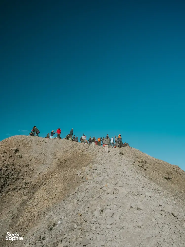 Seek Sophie option picture