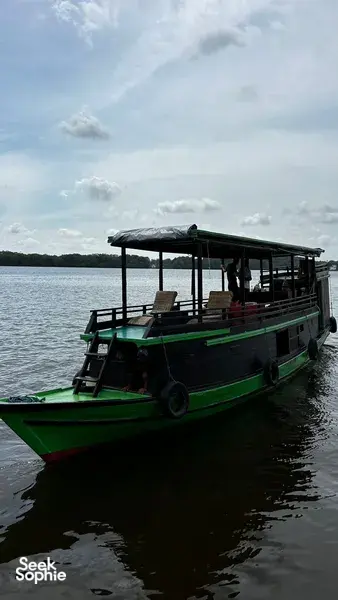 Canopied green small boat floating on the water near Pangkalan Bun, set for a 3D2N Tanjung Puting cruise for couples.