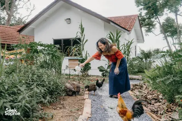 Woman feeding chickens at a small local farm in Singapore, standing among greenery in front of a white house