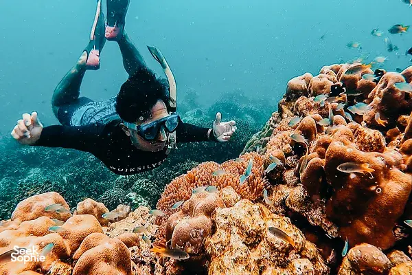Day Trip To Surin Island | Snorkel & Visit Thai Sea Gypsy Village