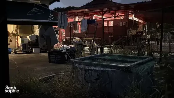 Pulau Ubin After Dark: Myths, Spirits & Island Stories