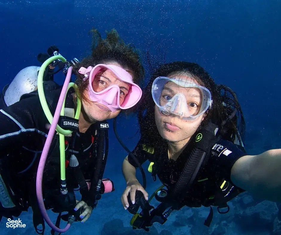 Seek Sophie option picture