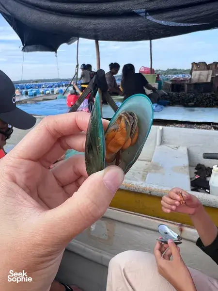 Hands-on wildlife spotting during a private tour in Johor Bahru as a guide holds a small fish over the boat