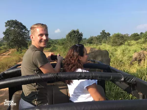 Kaudulla National Park | Morning Jeep Safari