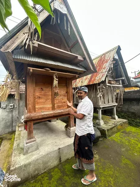 Guide in a white shirt presents specimens behind glass-fronted shelves inside a rustic conservation building in Bali
