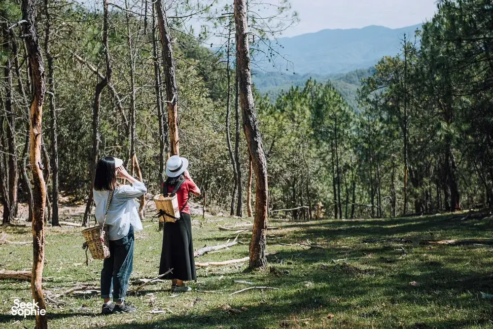 Dua pengembara berhenti di hutan dengan pokok-pokok tinggi, dengan banjaran gunung di kejauhan, di laluan pemanduan peribadi di Yunnan Utara