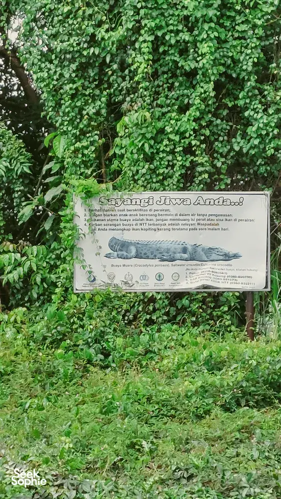 Informational wildlife signboard nestled in dense mangrove foliage, part of a hidden mangroves and village visit in Labuan Bajo