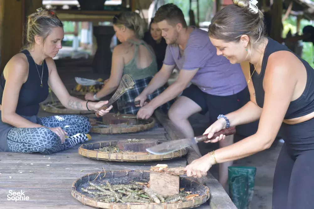 Seek Sophie option picture