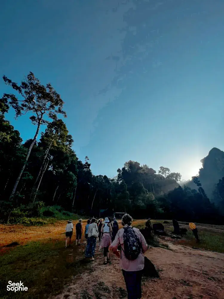 Seek Sophie option picture