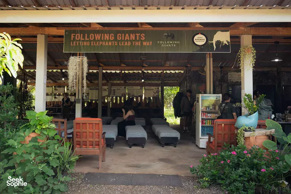 Seek Sophie option picture