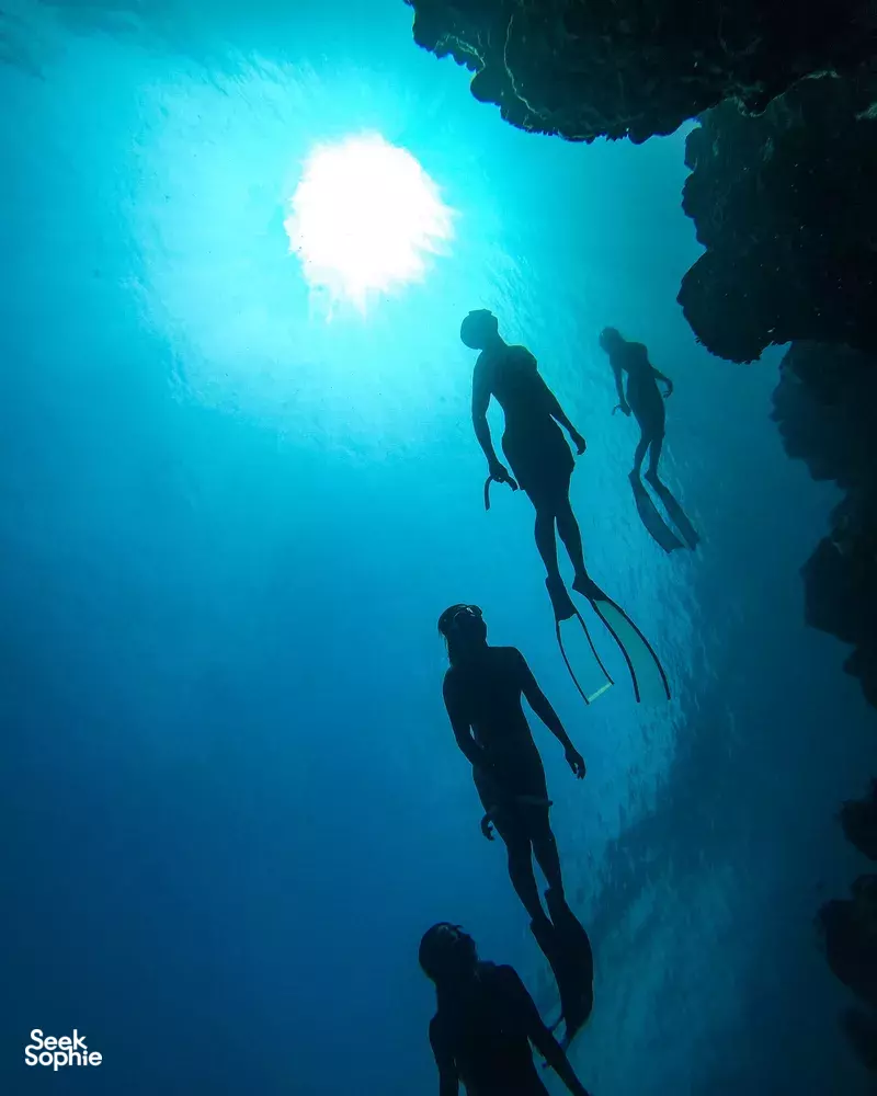 Seek Sophie option picture