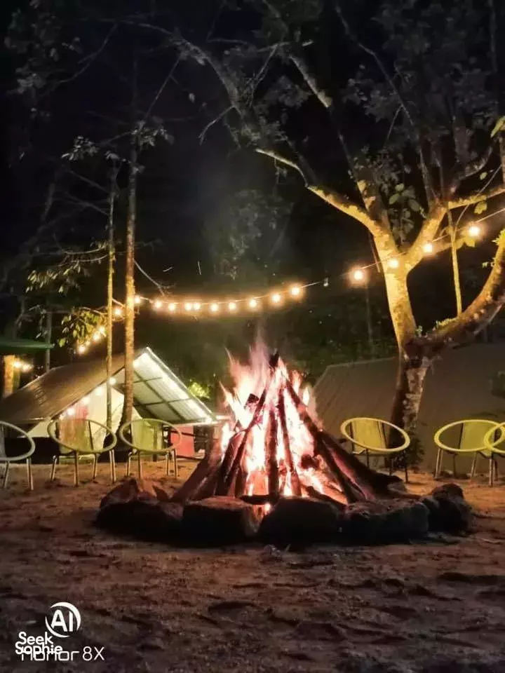 Seek Sophie option picture