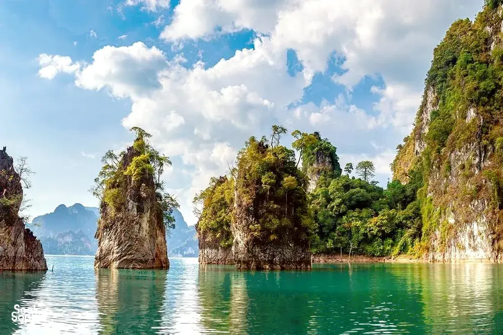 Seek Sophie option picture