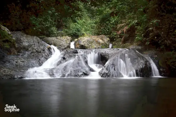 3D2N Danum Valley: Trek Borneo's Ancient Rainforest