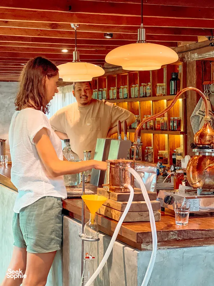 Seek Sophie option picture