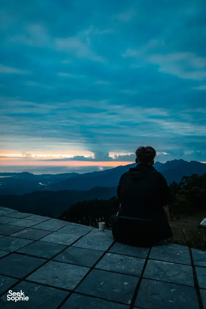 Seek Sophie option picture