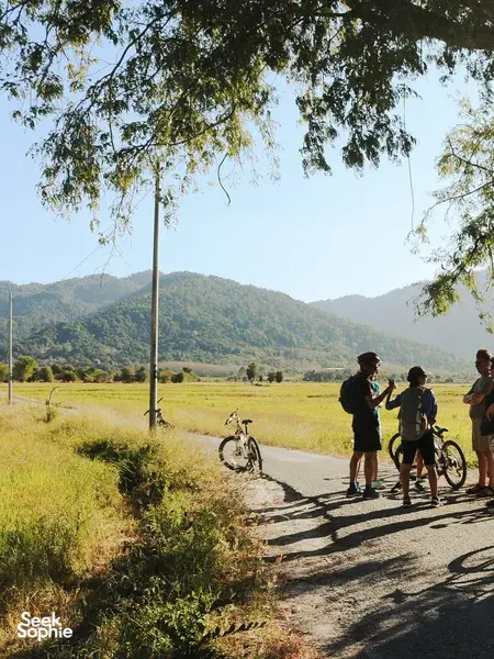 Cyclists pause on a quiet country road in Langkawi, with bikes beside tall grass under overhanging trees inland