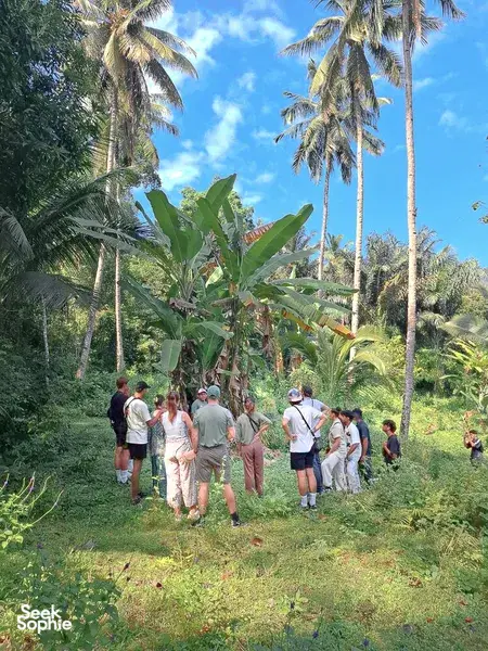 Group trekking through a lush Lombok forest on the Lombok Forest Tour with former loggers