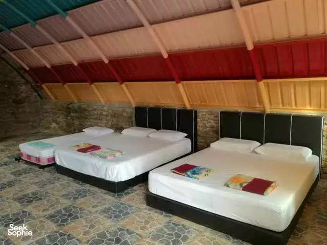 Seek Sophie option picture