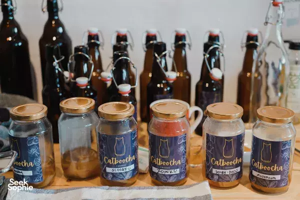Kombucha Brewing in Singapore