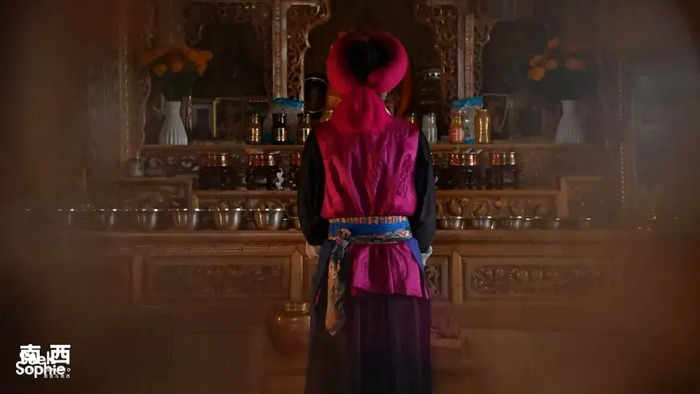 Seek Sophie option picture