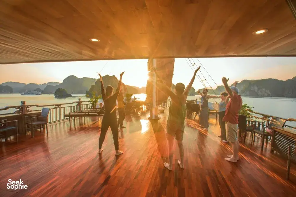 Seek Sophie option picture