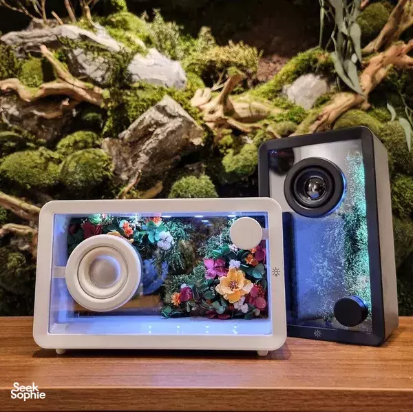 Build a Mossy Bluetooth Jukebox 