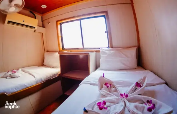 北安达曼3天3夜超值潜水Liveaboard | 10 潜水