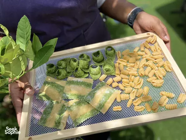 Make Fancy Pasta & Enjoy Lunch! | Ravioli, Tortellini, or Malloreddus (Little Gnocchi)