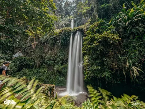 Half Day Rinjani Foothills Trek | Support First Female-Led Guides