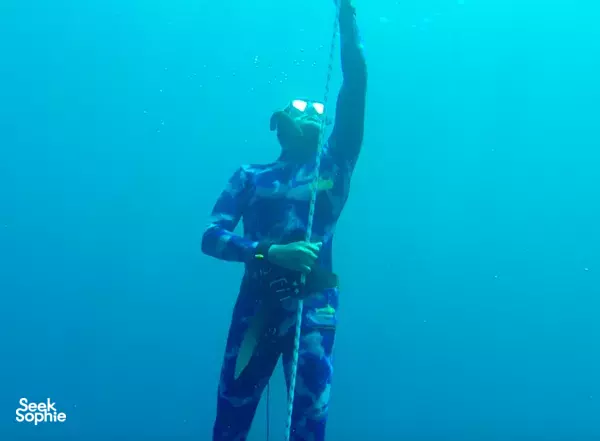 Discover Freediving @ The Southern Islands