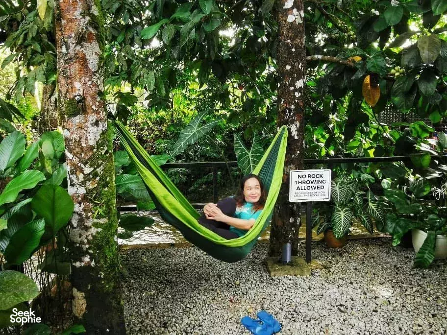 Seek Sophie option picture